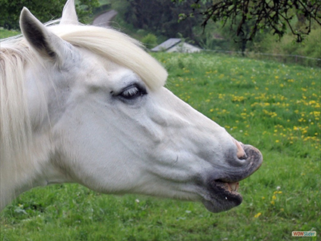 blanka111_1104_bearbeitet-1