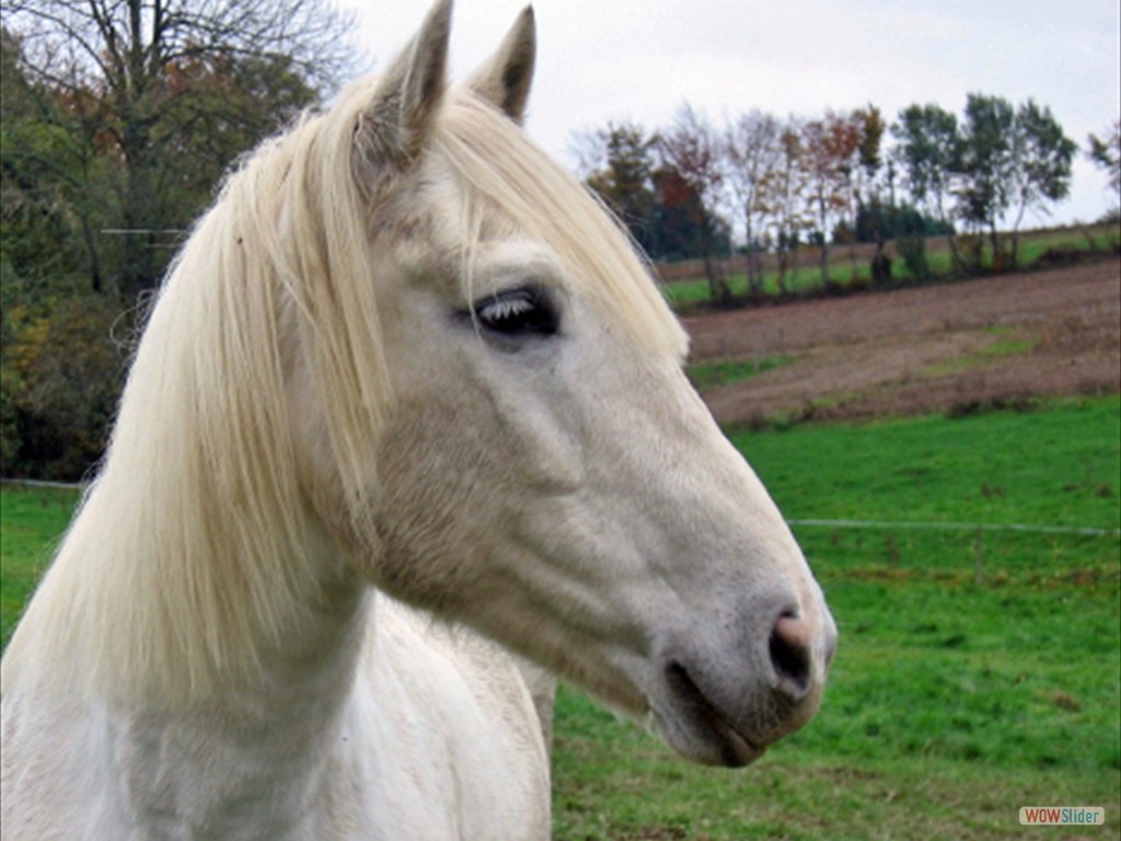 blanka114_1456_bearbeitet-1